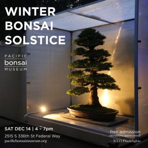 WinterBonsaiSolstice-24sq-300x300